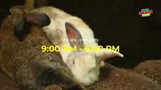 OOPL Wild Life Park