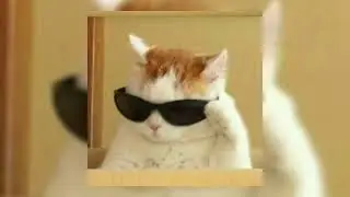 smooth operator - sped up