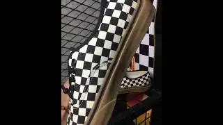 Vans Authentic Classic Checkerboard Gum Plimsolls