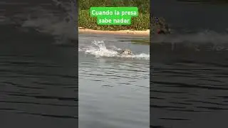 Cuando tú comida sabe nadar.