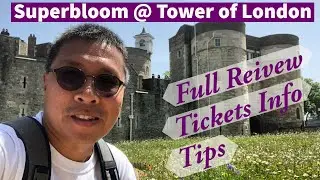 Superbloom at Tower of London | Full Review, Walkthrough, Tips, Tickets Info, All You Need to Know