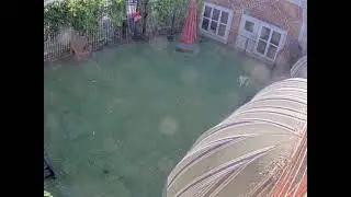 Small Yard
