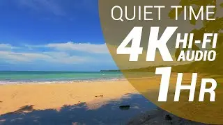 1 Hour of Waves Sounds - Caribbean Beach (4K - Hi-Fi Audio - No Talking)