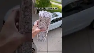 CONOCES LAS FAMOSAS CEBOLLITAS explosivas???