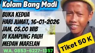 Kolam Bang Madi, pulang selalu ngasil@MKtv mancing kolam