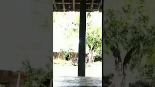 editor rafa jedag jedug ngilang