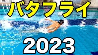 バタフライ【50M28秒よりは速い】スイマーの泳ぎを観察！【速く・楽に泳ぐコツ・テクニックのヒントに！】秘伝