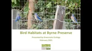Bird Habitats at Byrne Preserve - Naturalist Talk
