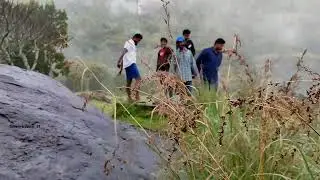 VOYE HOMES Moonlight Forest Resort #shorts #videos