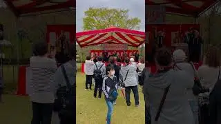 #japan #たいこ 🥁