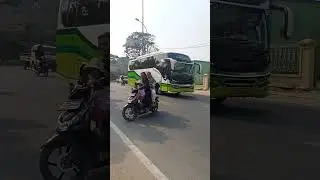 Relisa trans di Susul DARUNNAJAH #shorts #shortvideo #fyp #subscribe #busmania