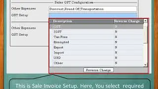GST Setup