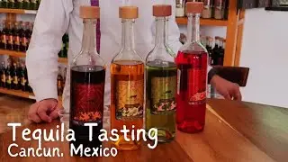 Different Flavoured Tequila Tasting || Cancun, Mexico|| @hazelDWanderEater