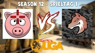 🤜 TEAM SCHWEINEAIM vs. FoxRaiD Army 🤛 - 99Damage Liga Season 12