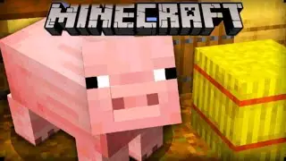 New! Pig house🏠