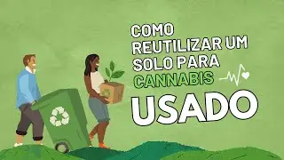 Como REUTILIZAR um solo/substrato para CANNABIS