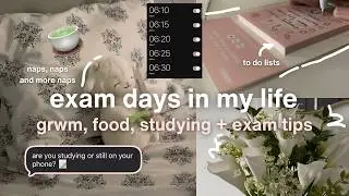 🧸ྀི 📖 exam days in my life  - grwm, food, studying + exam tips 🫧