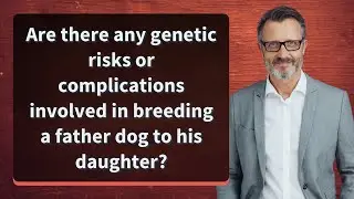 Are there any genetic risks or complications involved in breeding a father dog to his daughter?