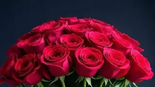 @ኣቢ ጋል ውቅሮ is live Salem
