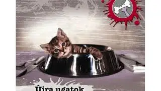 A Kutya Vacsorája - Lebegés