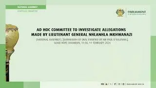 Ad Hoc Committee to Investigate Allegations made by Lieutenant General Mkhwanazi, 11 February 2026