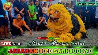 ATRAKSI MACAN ONTAL || JARANAN DIPO SARI BUDOYO Live Dokoh - Kabat