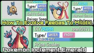 Pokemon Inclement Emerald Feebas And Milotic Location | How To Evolve Feebas To Milotic|Mega Milotic