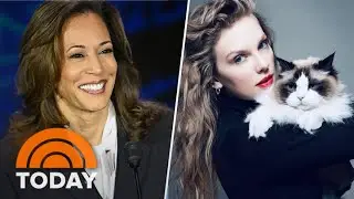 Taylor Swift endorses Kamala Harris: Will it sway voters?