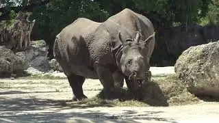 Zoo Miami