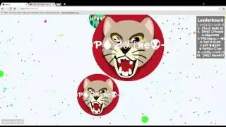 Agar io vanishsplit