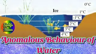 Anomalous Behaviour Of Water || Anomalous Properties Of Water