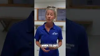 Stop Exercising Your Dog Before They Get Tired!