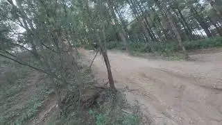 Irritable R1+#rerode 