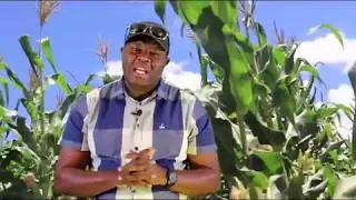 11 keys  to successful farming with Dr John Basera Part 2
