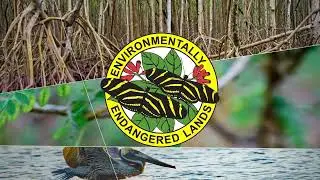 Miami-Dade's Environmentally Endangered Lands Program