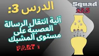 ⚡ كيف تنتقل الرسالة العصبية عبر المشبك؟ | الجزء الأول | 2AS علوم طبيعية squad