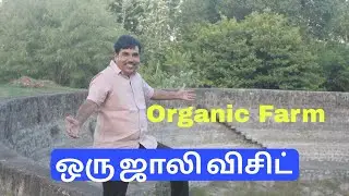 அருமையான தோட்டத்தில ஒரு நாள் 