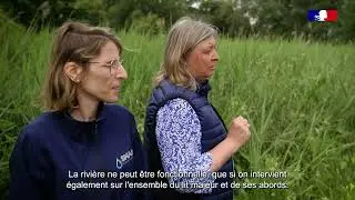 Restauration de la continuité écologique au moulin du Battereau à Cloyes-Les-Trois-Rivières