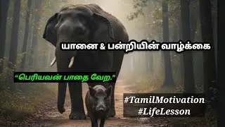 யானை & பன்றி கதை | Self-Respect Tamil Story | அறிவுடன் நடக்கும் வாழ்க்கை