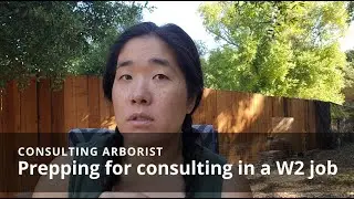 Ways to prepare for consulting in your current job