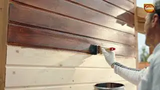 Sadolin - Secretul lemnului bine &icirc;ntreținut