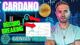 Цена Cardano близка к минимуму! Genius Yield &mdash; криптовалюта, которую ОБЯЗАТЕЛЬНО стоит посмотреть.