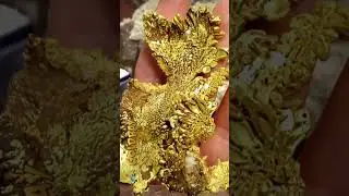 Goldbay - Some of the extraordinary crystallized gold from the famous Colorado Quartz gold mine