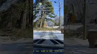 Hit or Miss If A Road Has Tree Branches In The Way In Nashville After Ice Storm (1/26)