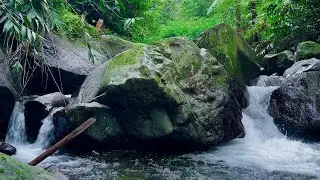 Waters of Rest - Peaceful Stream Sounds | sleep - relax - enjoy life - ASMR