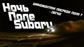 BLOG: Ночь Поле Subaru