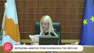 Το ξέσπασμα της Αννίτας Δημητρίου στην Ολομέλεια