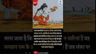 🐿️THREE LINE ON SQUIRREL 🐿️ SUPER MIND BLOWING RANDOM FACTS IN HINDI #short #shorts #animals