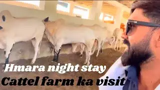Cattle Farm Tour + Night Stay | Aaj Ka Khas Vlog 🌾 14th vlog