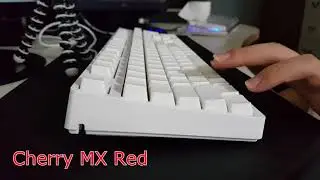 Archon ak89 Cherry MX Red vs Kailh Box Red Typing